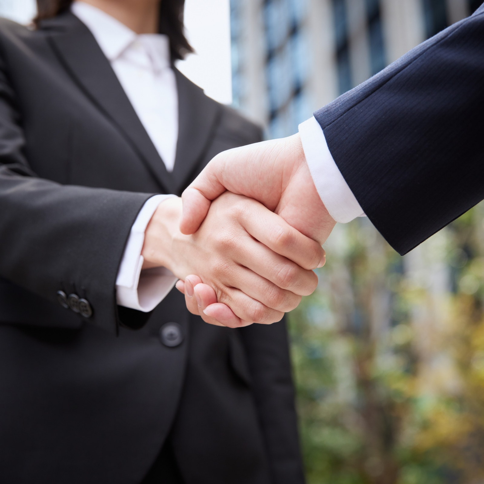 business people shaking hands making the sale